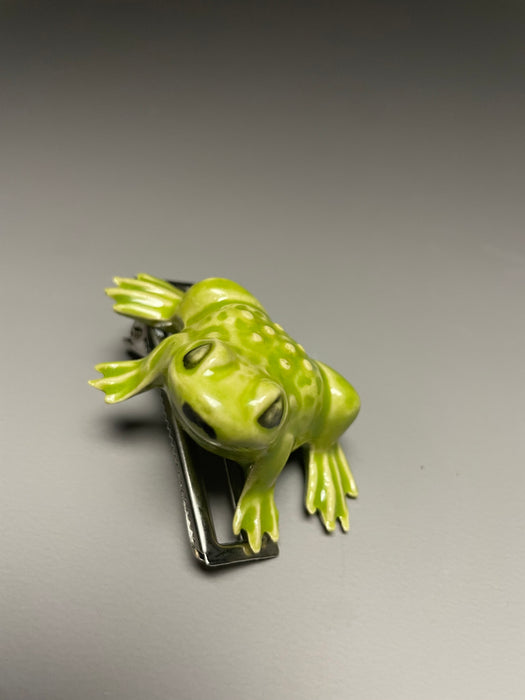 Frog Barrettes, Set of 2