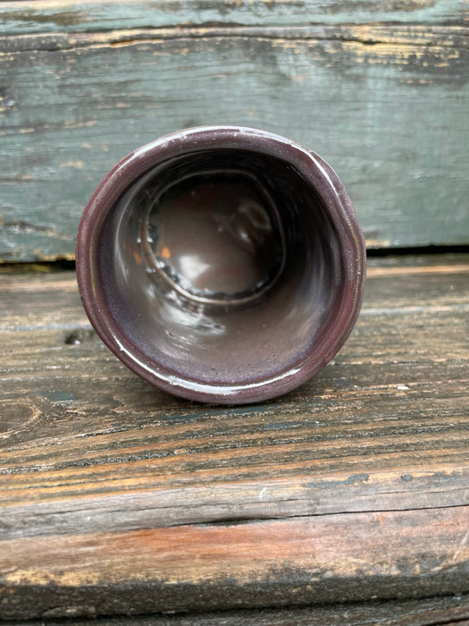 Petrified Wood Tumbler Numero Dos