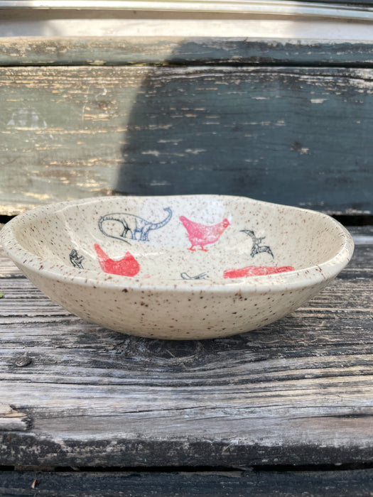 Chickens and Dinosaurs Bowl