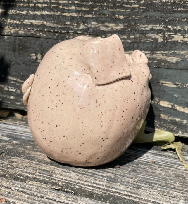 Piggy Bank