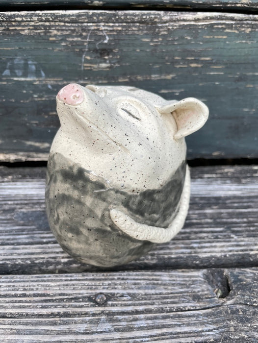Opossum Bank