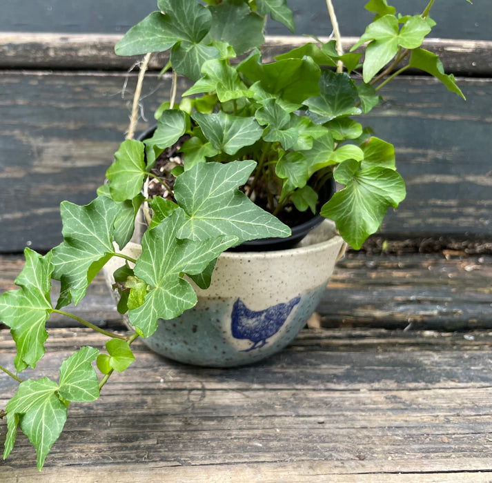 Lil' Blue on Blue Country Chicken Planter